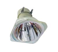 ERIHJOX SP-LAMP-061 de remplacement adapté for INFOCUS IN104 IN105