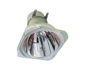 ERIHJOX SP-LAMP-061 de remplacement adapté for INFOCUS IN104 IN105