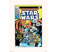 Erik - Art Print, Illustration Star Wars 11 Star Search, 30 x 40 cm