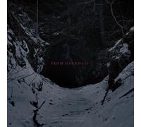 Erik K Skodvin - From Darkness