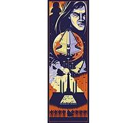 Erik - Poster de Porte Star Wars Épisode III - 53x158cm