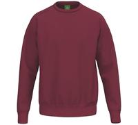 Erima Mixte Enfant TS Basic Maillot de survêtement (2072584) New Bordeaux, 128