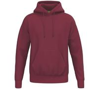 Erima Mixte TS Sweat à Capuche (2072574) New Bordeaux, XL