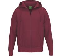 Erima Ts Sweat à capuche Homme - New Bordeaux