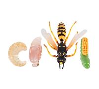 ERINGOGO 1Ensemble Éducatif Guêpe Fournitures Affichage pour Explorer Cycle de Vie des Insectes pour Garçon Fille