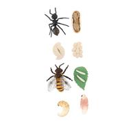 ERINGOGO 2 Modèles Éducatifs Abeille et Fourmi en Plastique, Cycle de Vie, Réalistes et Légers, pour École et Apprentissage des Garçon et Filles