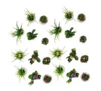 ERINGOGO 22 Pièces Miniature Dollhouse Plants Set Realistic Tiny Artificial Bonsai for DIY Micro Landscape Plastic Simulation Flower Figurine Decor Compact Garden Accessories for Home Craft