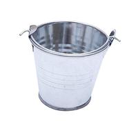 ERINGOGO 24 pièces Lot de Mini Seaux Métalliques Argenté Brillant Pots à Fleurs Suspendus pour Décoration Intérieure et Balcon Supports Muraux pour Plantes et Fleurs Accessoires Créatifs