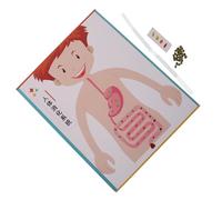 ERINGOGO 4 Ensembles Digestive System DIY Model Kit for Educational Science Experiment Toy Interactive Teaching Prop for School and Home Learning Parent-Child Craft Supplies