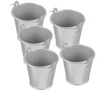 ERINGOGO 5 Pièces Petit Seau en Fer-Blanc Mini Jardinière à Poignée