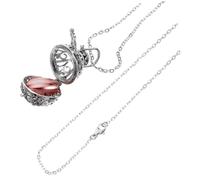 ERINGOGO Collier Urne pour Cendres Animaux Pendentif Commémoratif Acier Inoxydable Bijoux à Souvenir pour Cendres de Urne à Ashes