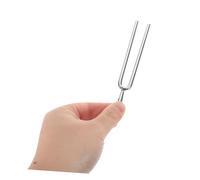 ERINGOGO Diapason Standard avec Instrument Musical pour Enseignement Précise pour Piano Guitare et Violon