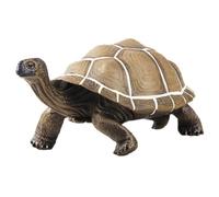 ERINGOGO Figurine de Tortue en Plastique Rigide, Modèle Décoratif Réaliste de Tortue Terrestre, Éducatif pour Garçon et Filles, Décoration Miniature pour Maison et Fête, 1 Pièce, Couleurs