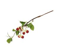 ERINGOGO Framboise Artificielle Réaliste en Plastique sans Odeur Décoration de Table en Fausses Baies Couleur Cerise Accessoire Photo et Modèle de Fruits Artificiels pour Maison et Fête