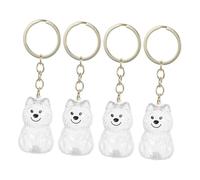 ERINGOGO Lot De 4 Porte-clés en Poils De Chien : Porte-clés Souvenir en Poils De Chien - Boîte Commémorative pour Animaux De Compagnie pour Créer des Liens Affectifs - Accessoire
