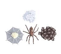 ERINGOGO Modèle de Animale Éducatif pour Garçon et Filles Figurines d'Évolution de Spiders et Insectes Décorations sur Thème Animal Jouet de Simulation 5 Pièces