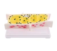 ERINGOGO Modèle de Cellule Épidermique D’Oignon Pédagogique Structure Agrandie pour Enseignement de Biologie Outil Scientifique Solide pour Laboratoire Scolaire et Microscopie Éducative