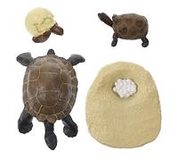 ERINGOGO Modèle de Tortue Simulée pour Garçon et Filles Jouet Éducatif Taille Petite Cycle de Apprentissage Précoce Supports Pédagogiques Enseignement Vie Ensemble Complet