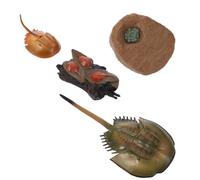 ERINGOGO Modèle Éducatif Cycle de Vie Fer à Cheval Réaliste pour Garçon et Filles Taille Moyenne en Plastique Solide Apprentissage Scientifique École Musée