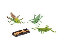 ERINGOGO Modèle Éducatif Insecte Cycle de Vie Montessori sans Odeur pour Garçon Fille Apprentissage