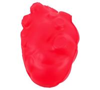 ERINGOGO Modèle Pédagogique Cœur Humain Rouge Réaliste Maquette d'Organe Simulé pour Enseignement Anatomique Matériel Didactique Éducatif en Biologie et Sciences