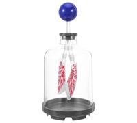 ERINGOGO Modèle Pulmonaire D'éducation Médicale Bleu Diaphragme Simulant la Respiration, Dispositif de Démonstration des Poumons, Outil D'expérimentation pour Enseignement Scientifique