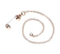 ERINGOGO Pendentif Urne Commémoratif Acier pour Collier Souvenir pour Animaux Et Êtres Design Élegant Et Acier pour Garder Souvenirs Près