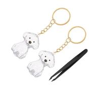 ERINGOGO Porte-clés Commémoratif Transparent pour Poils de Chien et Chat Boîte de Rangement Légère et Portable Pince Accessoire Souvenir pour Propriétaires Animaux