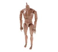 ERINGOGO Squelette Détachable Modèle Flexible pour Dessin et Collection Poupée Mannequin Homme à Poser Corps Musculaire Détaillé pour Artistes et