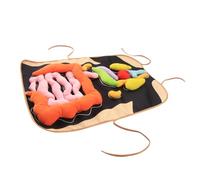ERINGOGO Tablier Éducatif Organes Corps Humain Cognition Viscères Apprentissage Garçon Fille Éveil Mémoire