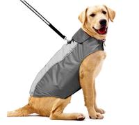 ERINGOGO Veste Chiot Imperméable Et Chaude pour Chien Manteau Hiver Noir XS Doublure Confortable Et Respirant Protection Pluie Vent Et Neige Sécurité Nocturne avec Réflecteurs