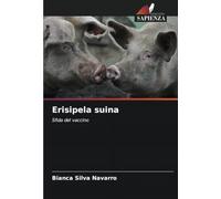 Erisipela suina: Sfida del vaccino