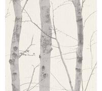 Erismann Papier Peint Collection Paradisio 630510