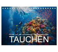 Erlebe mit mir verzaubernde Unterwasserwelten Tauchen (Tischkalender 2026 DIN A5 quer), CALVENDO Monatskalender: Ein Jahr des Tauchens in wunderschönen Meereslandschaften.