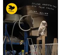 Erlend Apneseth Trio with Frode Haltli Salika, Molika (Vinyl) 12" Album