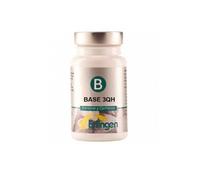 Erlingen Base 3QH 60Comp
