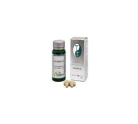 Erlingen Precisium 902 60comp