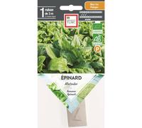 ERNEST TURC-Graines d’Épinard Matador bio Ernest Turc - graines à semer