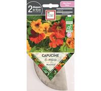 ERNEST TURC-Graines de Capucine en mélange bio Ernest Turc - graines à semer