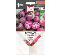 ERNEST TURC-Graines présemées de Betterave potagère Chioggia bio Ernest Turc - 1 ruban de 2 m