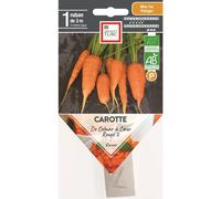 ERNEST TURC-Graines présemées de Carotte de Colmar à cœur rouge 2 bio Ernest turc - 1 ruban de 3 m