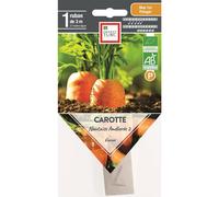 ERNEST TURC-Graines présemées de carotte nantaise améliorée bio Ernest Turc - 1 ruban de 3 m
