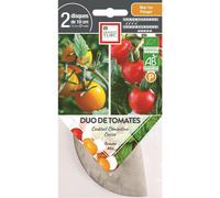 ERNEST TURC-Graines présemées de duo de Tomates cocktail rouge/jaune bio Ernest Turc - 2 ronds de 10 cm