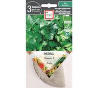 ERNEST TURC-Graines présemées de Persil commun bio Ernest Turc - 3 ronds de 10 cm