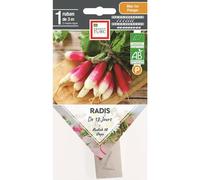 ERNEST TURC-Graines présemées de Radis de 18 jours bio Ernest Turc - 1 ruban de 3 m
