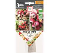 ERNEST TURC-Graines présemées de trio de radis bio Ernest turc - 3 rubans de 1 m