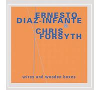 Ernesto Diaz-Infante - Wires & Wooden Boxes