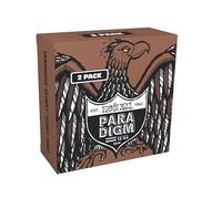 Ernie Ball Paradigm Cordes moyennes légères Bronze 80/20, pour guitare acoustique, Pack de 2 jeux, tirant 12-54