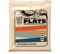 Ernie Ball Short Scale Flatwound Group 1 Cordes à filet plat, diapason court, pour basse électrique, calibre 50-110