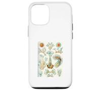 Ernst Haeckel Aquatic Life - Art Vintage de biologie Marine Coque pour iPhone 12/12 Pro